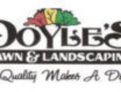 Doyle’s Lawn & Landscaping Website